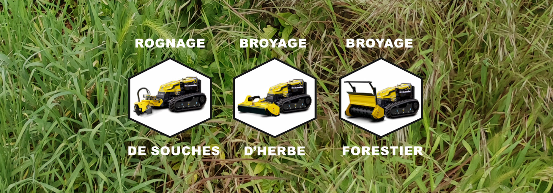 Rognage de souches, broyage d'herbe et broyage forestier